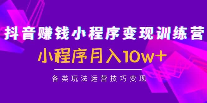 抖音小程序变现训练营：小程序各类玩法运营技巧变现-星璨学社