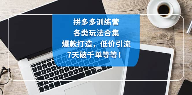 拼多多训练营：各玩法合集，爆款打造，低价引流，7天破千单等等-星璨学社