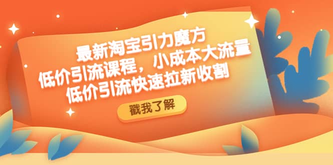 最新淘宝引力魔方低价引流实操：小成本大流量-星璨学社