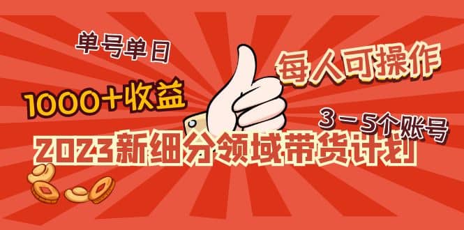2023新细分领域带货计划：单号单日1000 收益不难，每人可操作3-5个账号-星璨学社