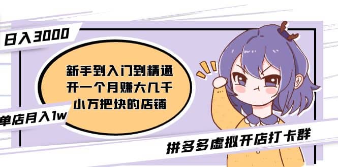 拼多多虚拟开店打卡群：新手到入门到精通-星璨学社