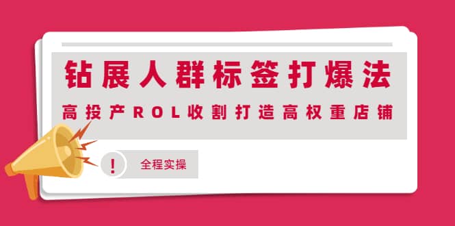 钻展人群标签打爆法，高投产ROL收割打造高权重店铺(全程实操)-星璨学社