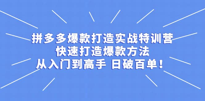 拼多多爆款打造实战特训营：快速打造爆款方法，从入门到高手 日破百单-星璨学社