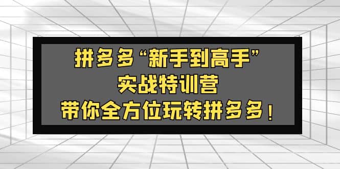拼多多“新手到高手”实战特训营：带你全方位玩转拼多多-星璨学社