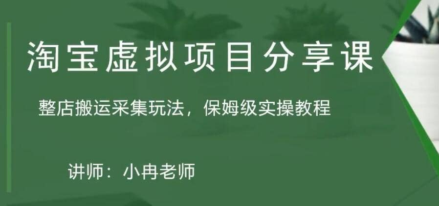 淘宝虚拟整店搬运采集玩法分享课：整店搬运采集玩法，保姆级实操教程-星璨学社