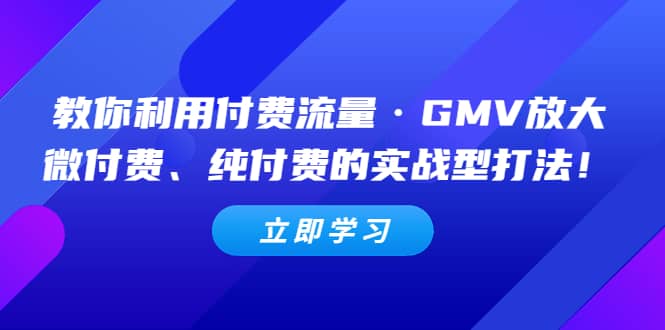 教你利用付费流量·GMV放大，微付费、纯付费的实战型打法-星璨学社