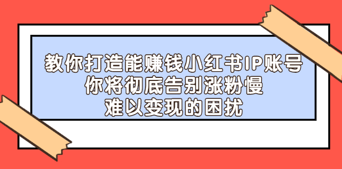 教你打造能赚钱小红书IP账号，了解透彻小红书的真正玩法-星璨学社