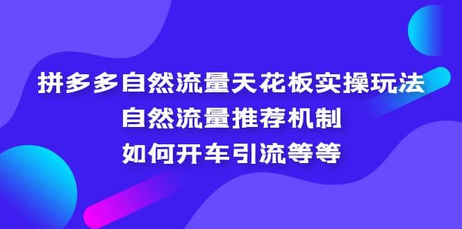 拼多多自然流量天花板实操玩法：自然流量推荐机制，如何开车引流等等-星璨学社