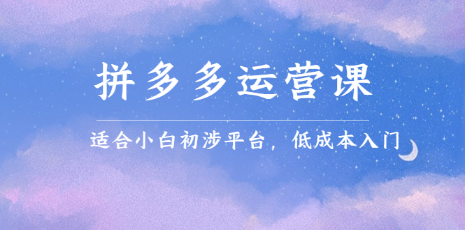 拼多多运营课，适合小白初涉平台，低成本入门-星璨学社