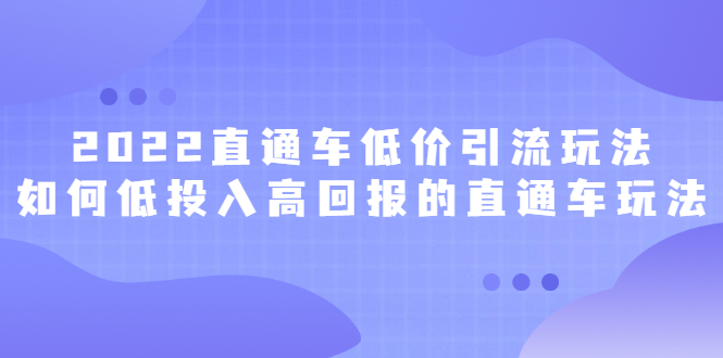 2022直通车低价引流玩法，教大家如何低投入高回报的直通车玩法-星璨学社