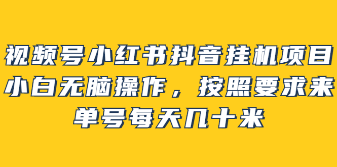 视频号小红书抖音挂机项目，小白无脑操作，按照要求来，单号每天几十米-星璨学社
