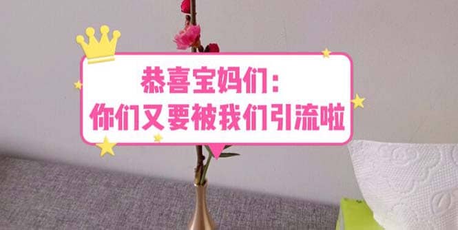 恭喜宝妈们：你们又要被我们引流了（教程 222g资料）-星璨学社