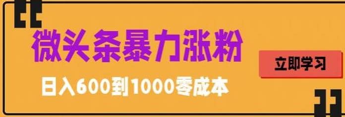 微头条暴力涨粉技巧搬运文案就能涨几万粉丝，简单0成本，日赚600-星璨学社