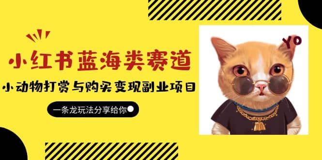 小红书蓝海类赛道：小动物打赏与购买变现副业项目，一条龙玩法分享给你-星璨学社