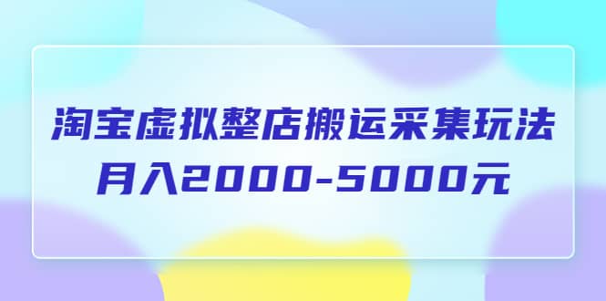 淘宝虚拟整店搬运采集玩法分享课：月入2000-5000元（5节课）-星璨学社