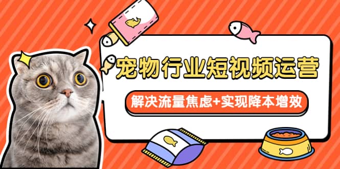 宠物/行业短视频运营 流量增长的一层窗户纸 解决流量焦虑 实现降本增效-星璨学社