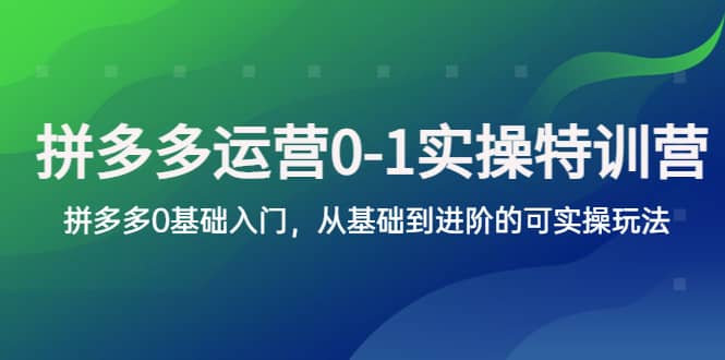 拼多多-运营0-1实操训练营，拼多多0基础入门，从基础到进阶的可实操玩法-星璨学社