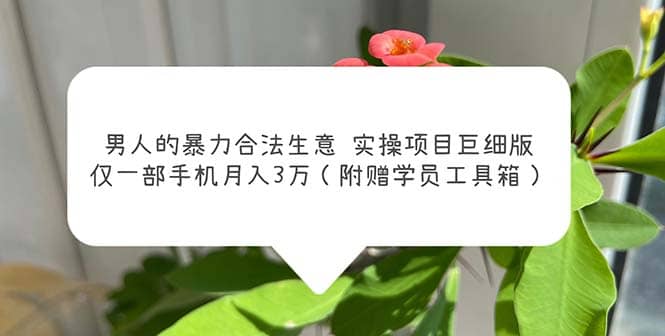 男人的暴力合法生意实操项目巨细版：仅一部手机月入3w（附赠学员工具箱）-星璨学社