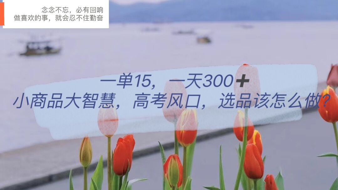 一单15，一天300 ，小商品大智慧，高考风口，选品该怎么布局-星璨学社