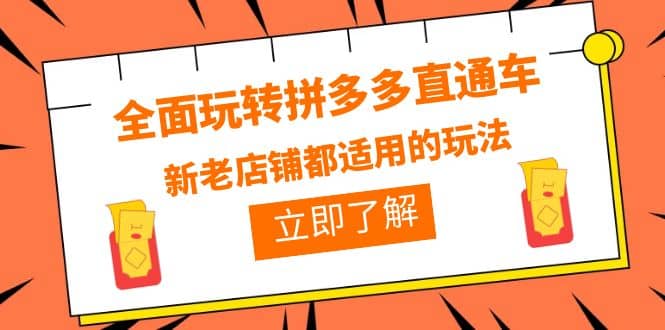 全面玩转拼多多直通车，新老店铺都适用的玩法（12节精华课）-星璨学社