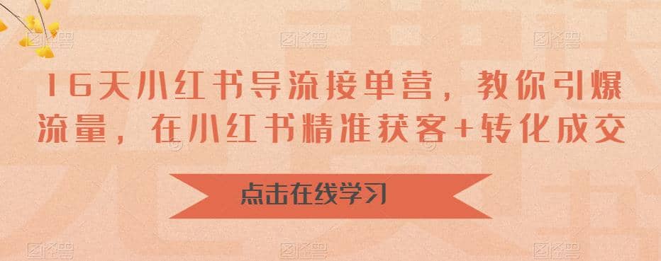 16天-小红书 导流接单营，教你引爆流量，在小红书精准获客 转化成交-星璨学社