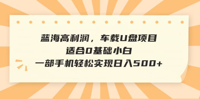 蓝海高利润，车载U盘项目，适合0基础小白，一部手机轻松实现日入500-星璨学社
