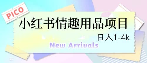 最新小红书情趣用品项目，日入1-4k-星璨学社