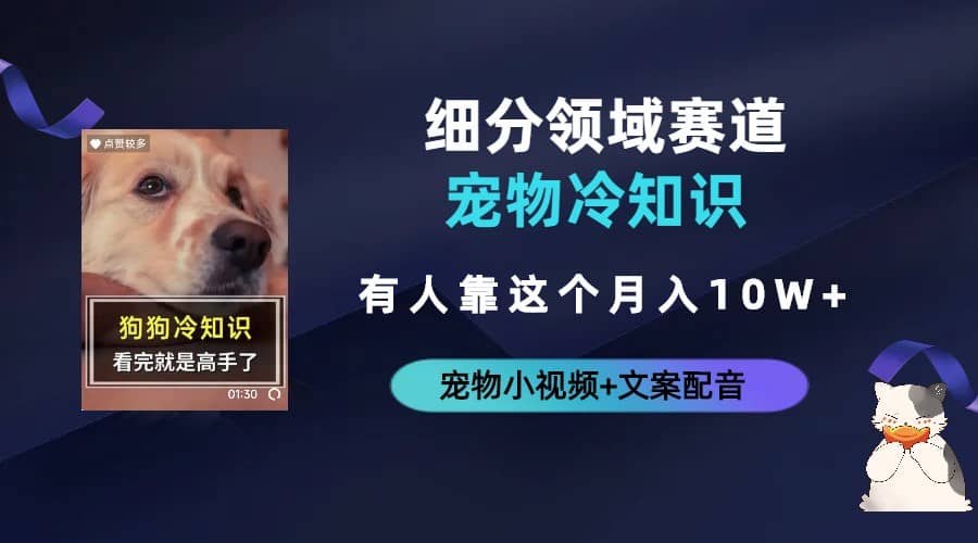 不起眼的抖音细分赛道-宠物冷知识，一段宠物视频配文案，有人靠这个月入10w-星璨学社