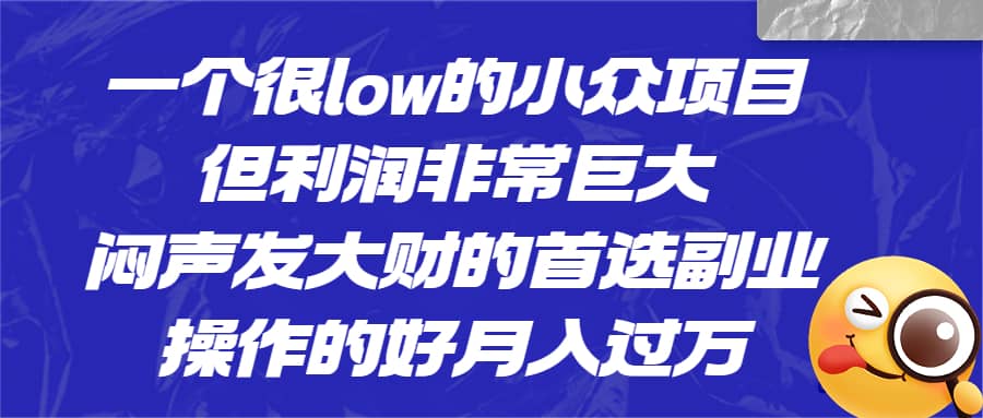 一个很low的小众项目，但利润非常巨大，闷声发大财的首选副业，月入过万-星璨学社