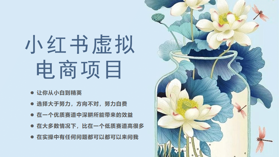小红书虚拟电商从0到1，让你从小白到精英（20节实操课程）-星璨学社