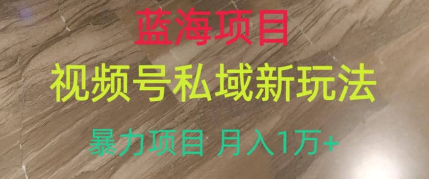 蓝海项目，视频号私域新玩法，暴力项目月入1万 【揭秘】-星璨学社