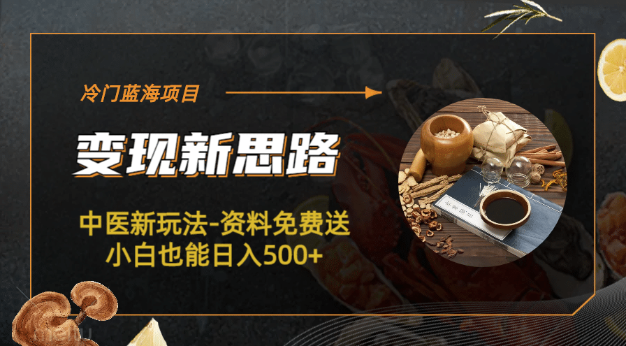 冷门蓝海项目-中医新玩法-冷门蓝海项目-中医新玩法-资料免费送小白也能日入500 500-星璨学社