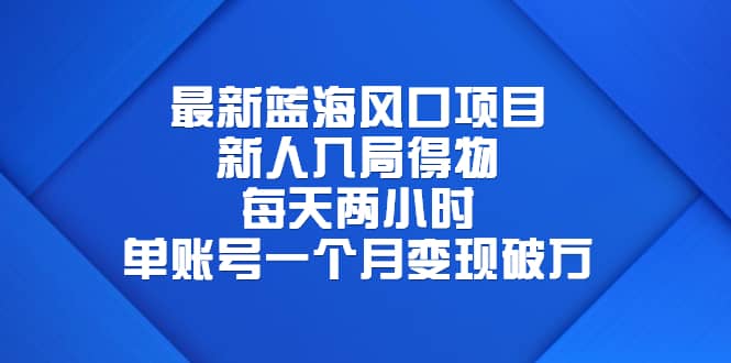 最新蓝海风口项目，新人入局得物，每天两小时，单账号一个月变现破万-星璨学社