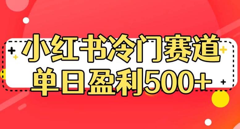 小红书冷门赛道，单日盈利500 【揭秘】-星璨学社