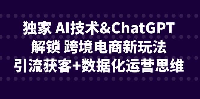 独家 AI技术ChatGPT解锁 跨境电商新玩法，引流获客 数据化运营思维-星璨学社