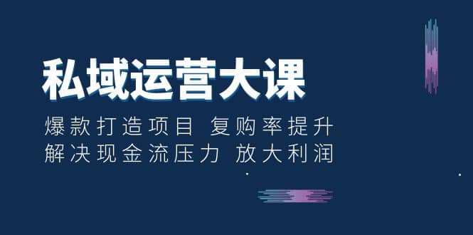 私域运营大课：爆款打造项目 复购率提升 解决现金流压力 放大利润-星璨学社