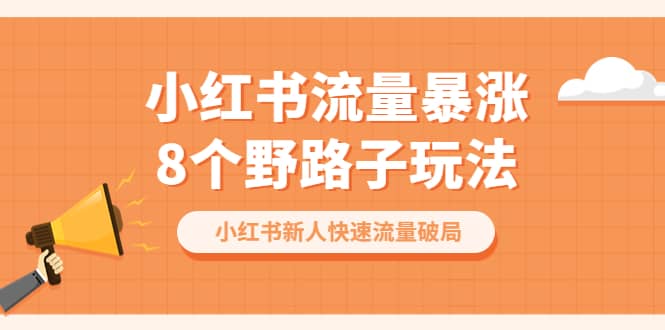 小红书流量-暴涨8个野路子玩法：小红书新人快速流量破局（8节课）-星璨学社