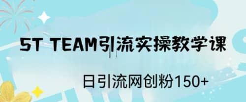 ST TEAM引流实操课，日引流网创粉100-星璨学社