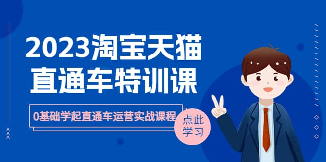 2023淘宝·天猫直通车评特训课，0基础学起直通车运营实战课程（8节课时）-星璨学社