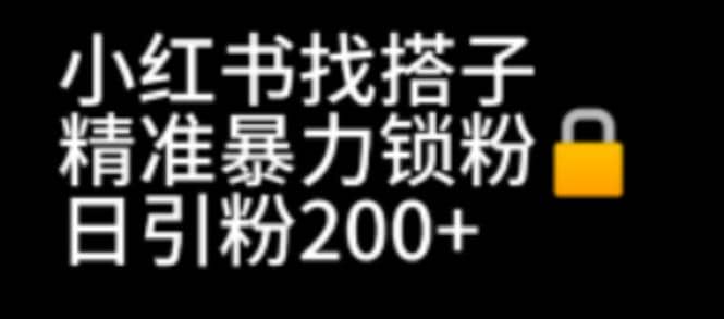 小红书找搭子暴力精准锁粉 引流日引200 精准粉-星璨学社