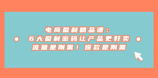 电商 盈利精品课：6大盈利 密码让产品更好卖，流量是刚需！爆款是刚需-星璨学社