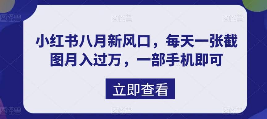 八月新风口，小红书虚拟项目一天收入1000 ，实战揭秘-星璨学社
