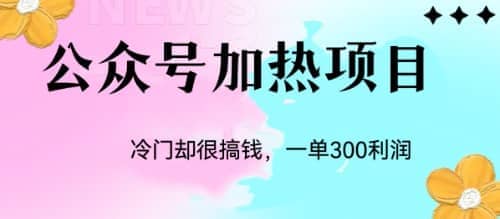冷门公众号加热项目，一单利润300-星璨学社