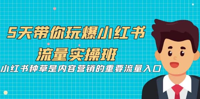 5天带你玩爆小红书流量实操班，小红书种草是内容营销的重要流量入口-星璨学社