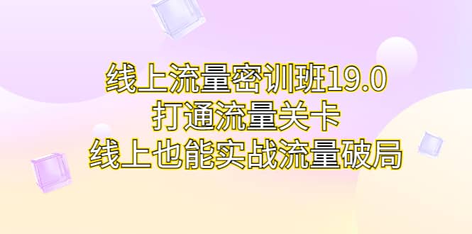 线上流量密训班19.0，打通流量关卡，线上也能实战流量破局-星璨学社