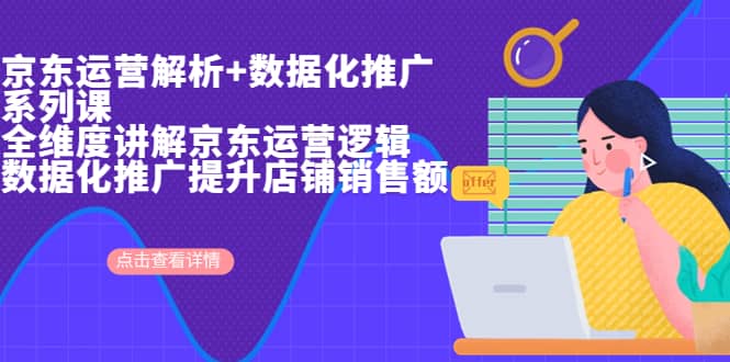 京东运营解析与数据化推广系列课，全维度讲解京东运营逻辑 数据化推广提升店铺销售额-星璨学社