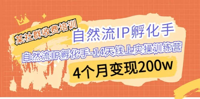 某社群收费培训：自然流IP 孵化手-14天线上实操训练营 4个月变现200w-星璨学社