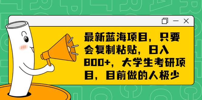 最新蓝海项目，只要会复制粘贴，日入800 ，大学生考研项目，目前做的人极少-星璨学社