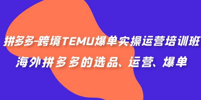 拼多多-跨境TEMU爆单实操运营培训班，海外拼多多的选品、运营、爆单-星璨学社