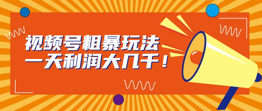 视频号粗暴玩法，一天利润大几千-星璨学社